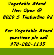 sftfwebsite2010b001001.jpg