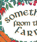 sftfwebsite2010b001006.jpg