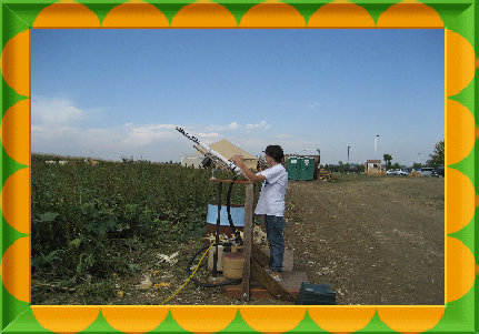 sftfwebsite2010b002002.jpg
