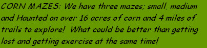 sftfwebsite2010b002007.jpg