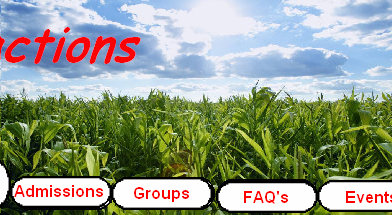 sftfwebsite2010b002012.jpg