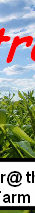 sftfwebsite2010b002013.jpg