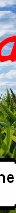 sftfwebsite2010b002015.jpg