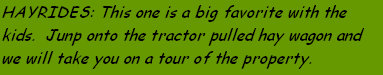 sftfwebsite2010b002021.jpg