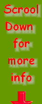 sftfwebsite2010b002025.jpg