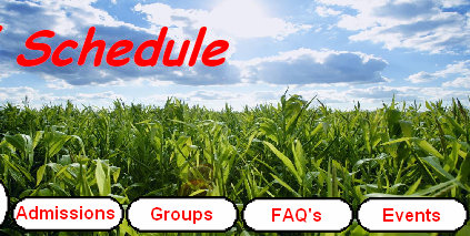 sftfwebsite2010b003002.jpg