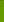 sftfwebsite2010b003008.jpg