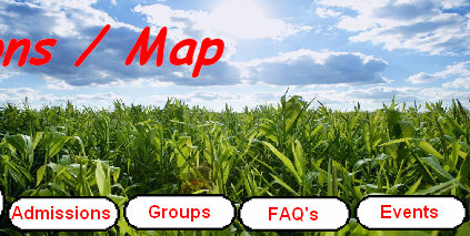 sftfwebsite2010b004002.jpg
