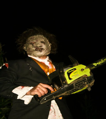 sftfwebsite2010b005001.jpg
