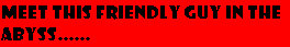 sftfwebsite2010b005003.jpg