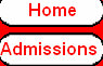 sftfwebsite2010b005033.jpg