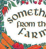 sftfwebsite2010b006001.jpg