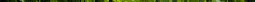 sftfwebsite2010b006008.jpg
