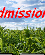 sftfwebsite2010b006024.jpg