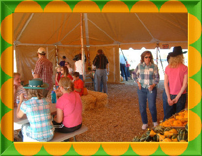 sftfwebsite2010b006026.jpg