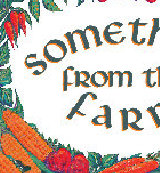 sftfwebsite2010b007004.jpg