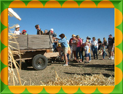 sftfwebsite2010b007013.jpg