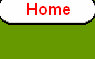 sftfwebsite2010b008003.jpg