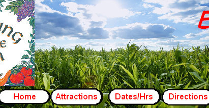 sftfwebsite2010b009003.jpg