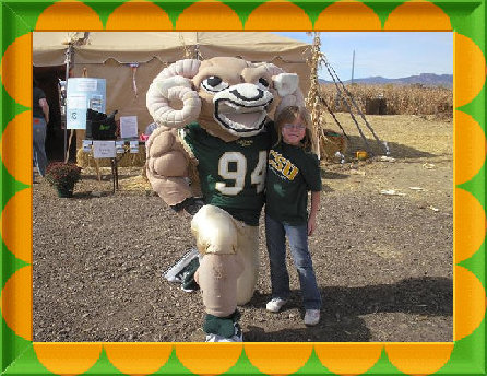 sftfwebsite2010b009010.jpg