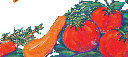 webstudiotriala001003.jpg