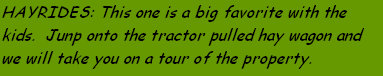 webstudiotriala002002.jpg