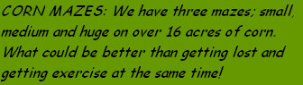 webstudiotriala002007.jpg